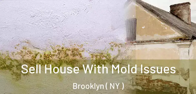  Sell House With Mold Issues Brooklyn ( NY )
