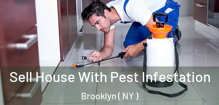 Sell House With Pest Infestation Brooklyn ( NY )